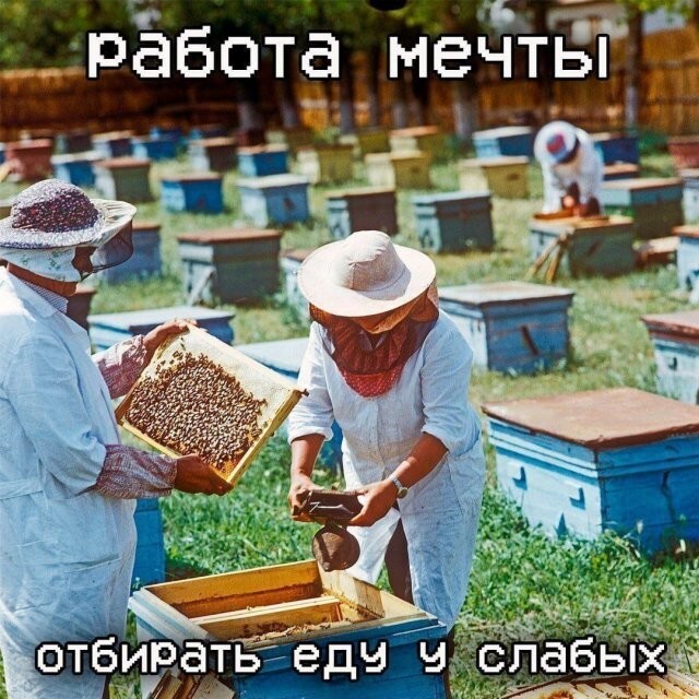 Не ищите здесь смысл. Здесь в основном маразм