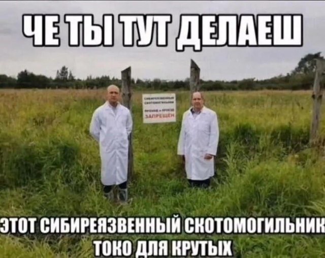 Не ищите здесь смысл. Здесь в основном маразм