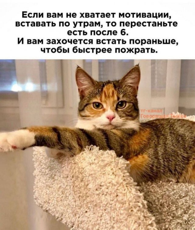 Не ищите здесь смысл. Здесь в основном маразм