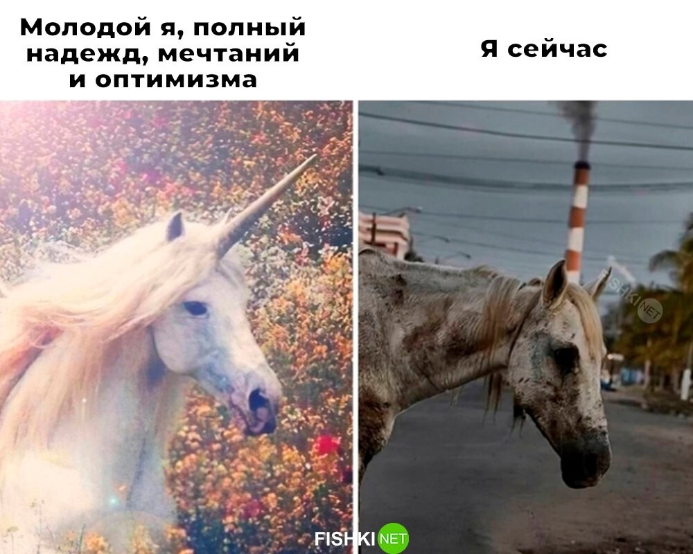 Не ищите здесь смысл. Здесь в основном маразм