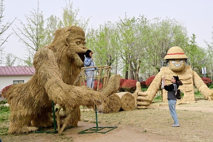 Всё вразнобой 