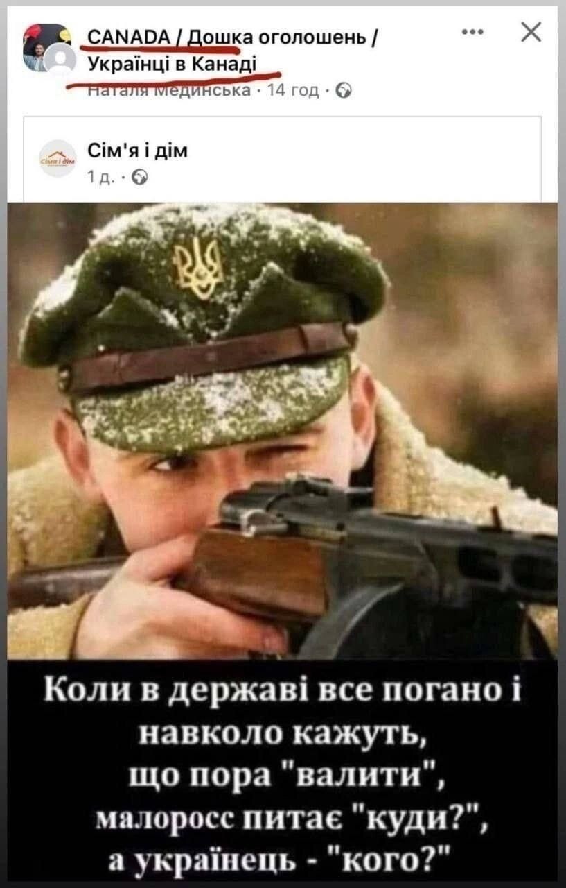О политике и не только