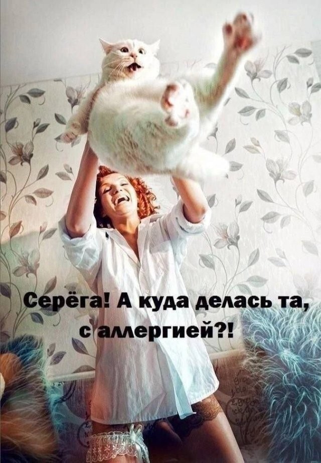 Скрины из соцсетей