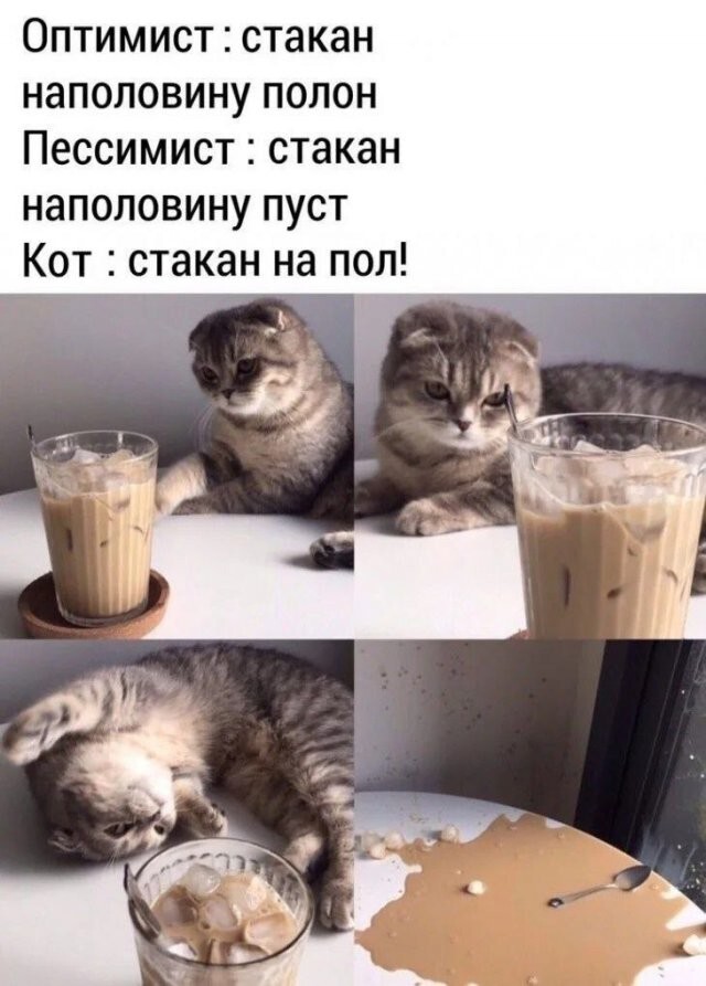 Скрины из соцсетей