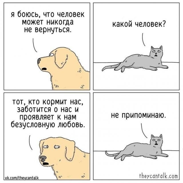 Скрины из соцсетей
