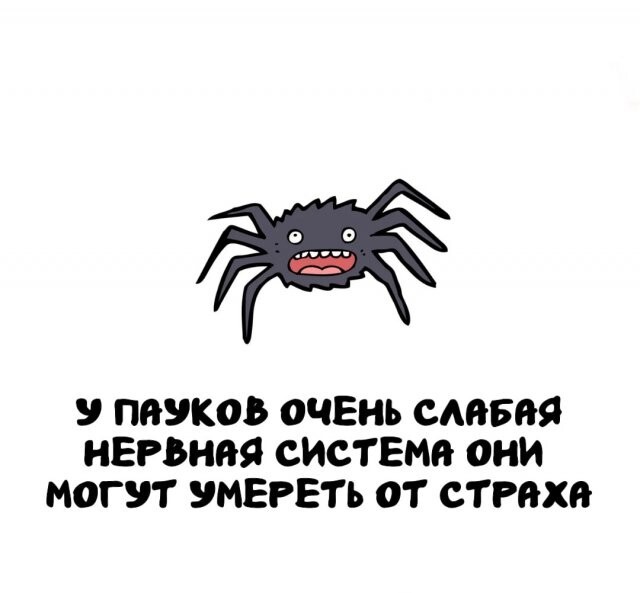А вдруг ты не знал…