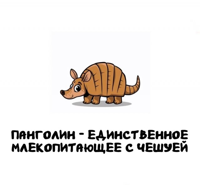 А вдруг ты не знал…