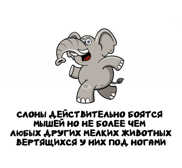 А вдруг ты не знал…