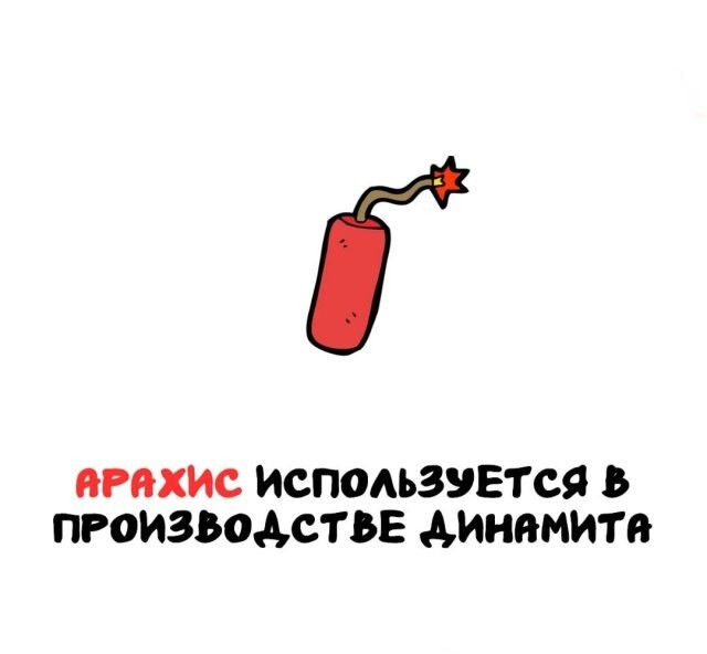 А вдруг ты не знал…