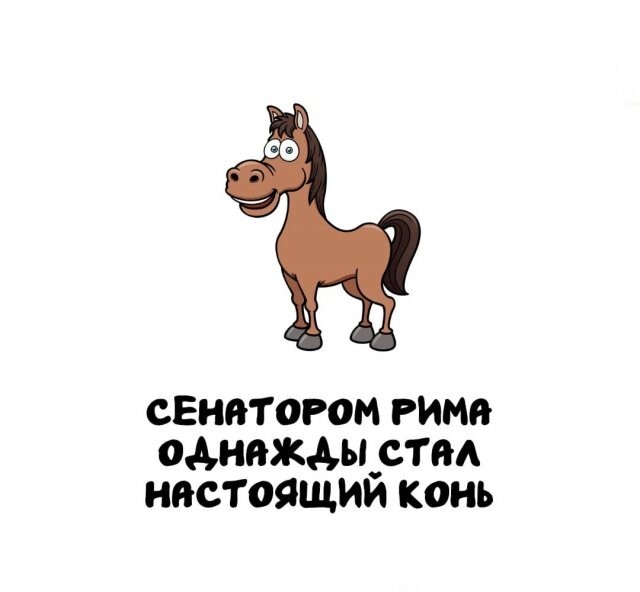 А вдруг ты не знал…