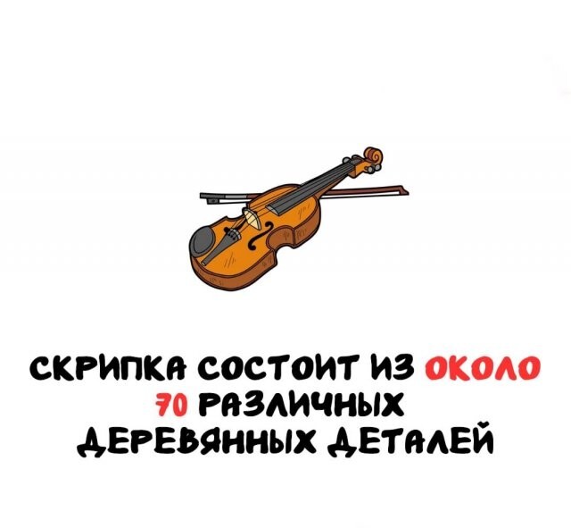 А вдруг ты не знал…
