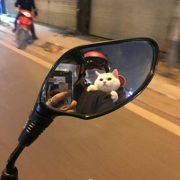 Намешалось