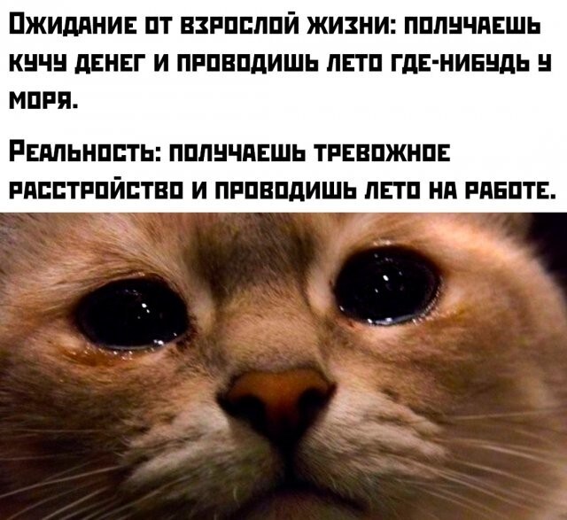 Намешалось