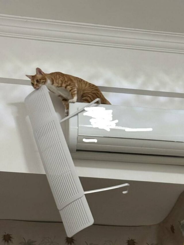 Намешалось