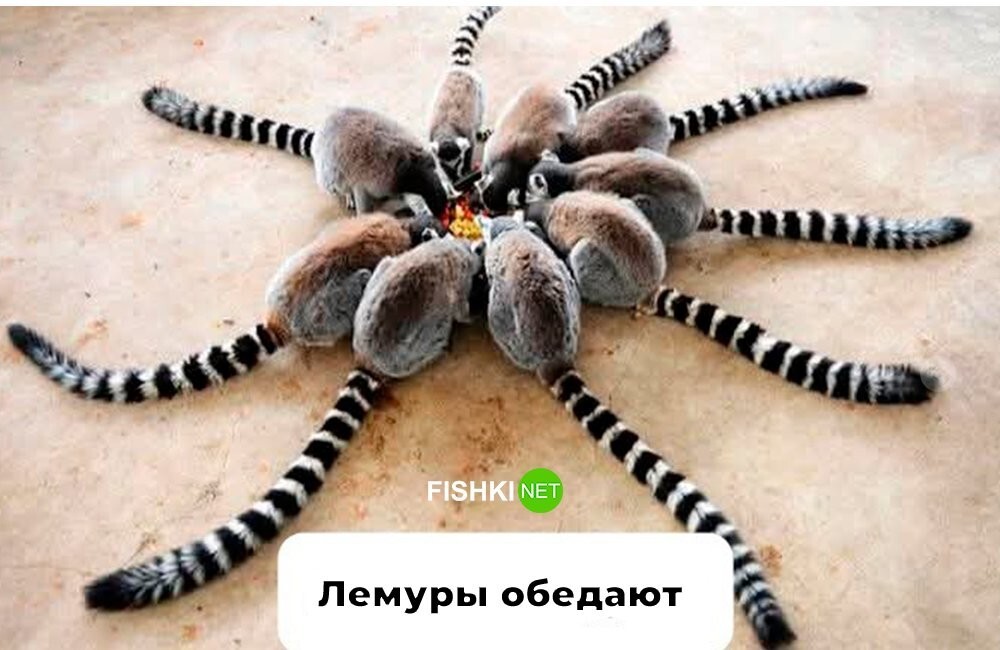 Продолжаем барражировать соцсети