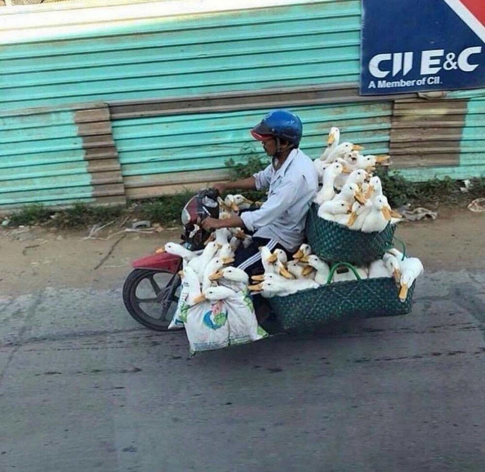 На общую тему 