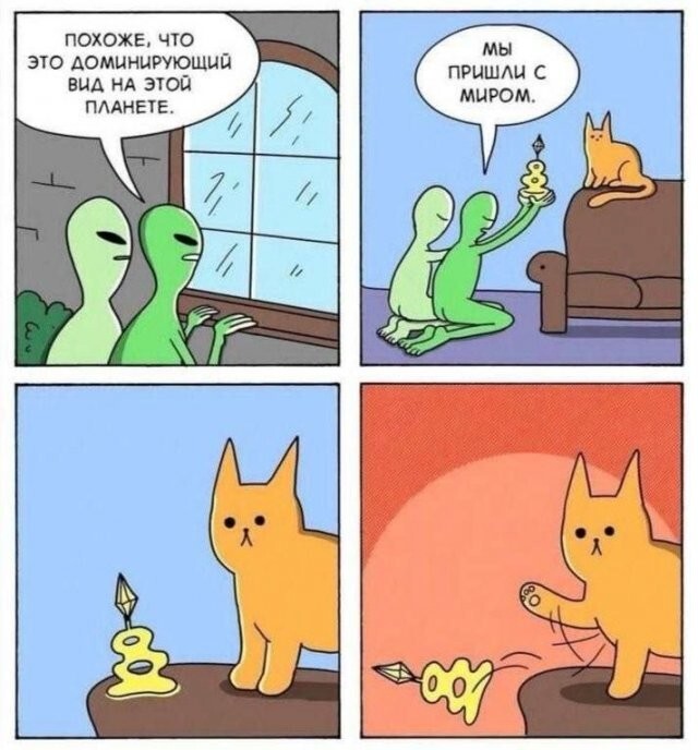 Скрины из соцсетей