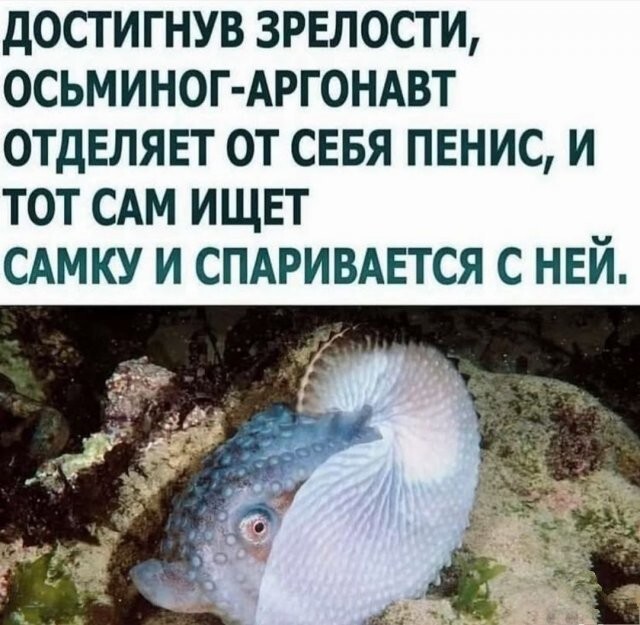 Скрины из соцсетей
