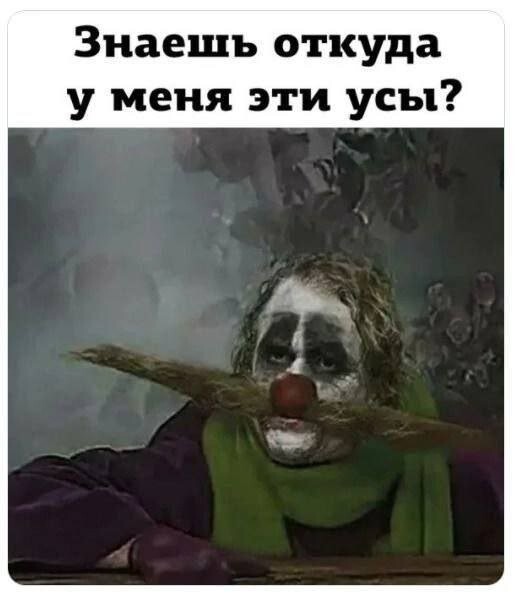 Скрины из соцсетей
