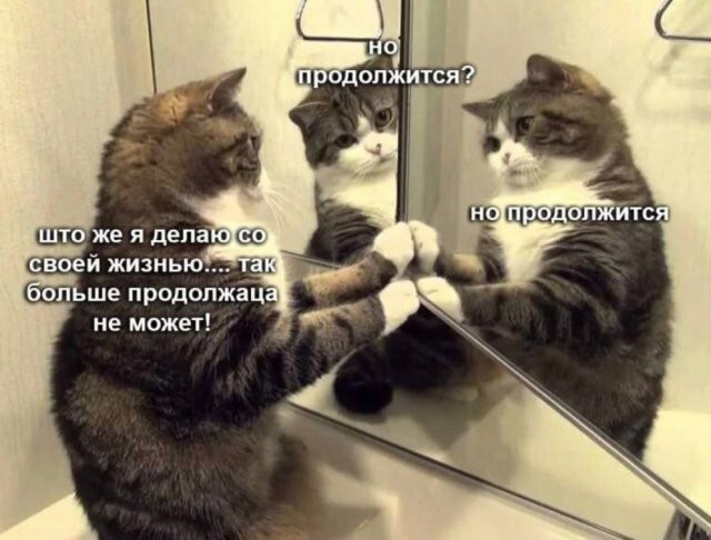 Скрины из соцсетей