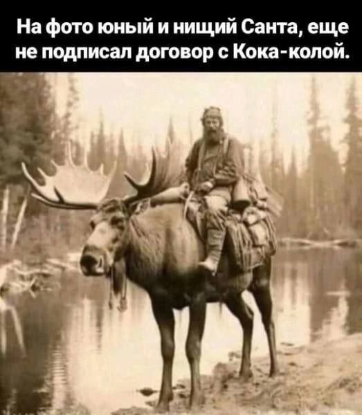 Скрины из соцсетей