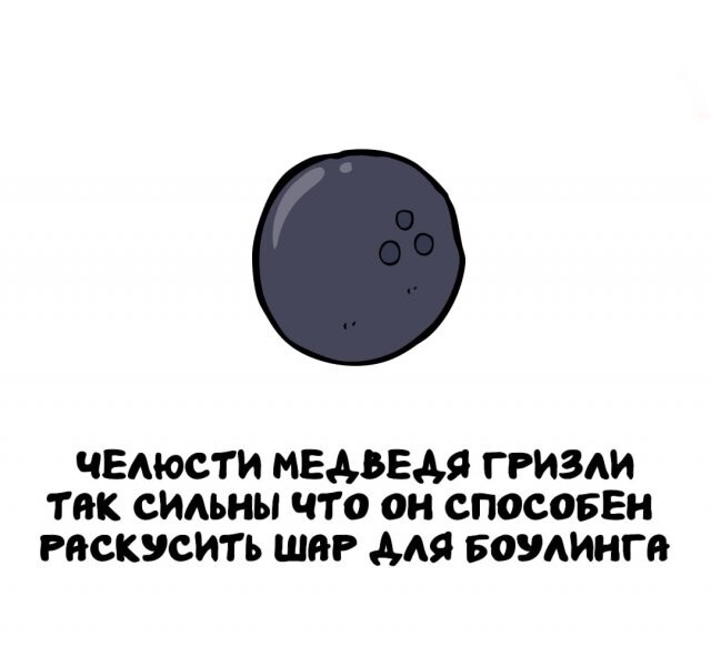 А вдруг ты не знал…
