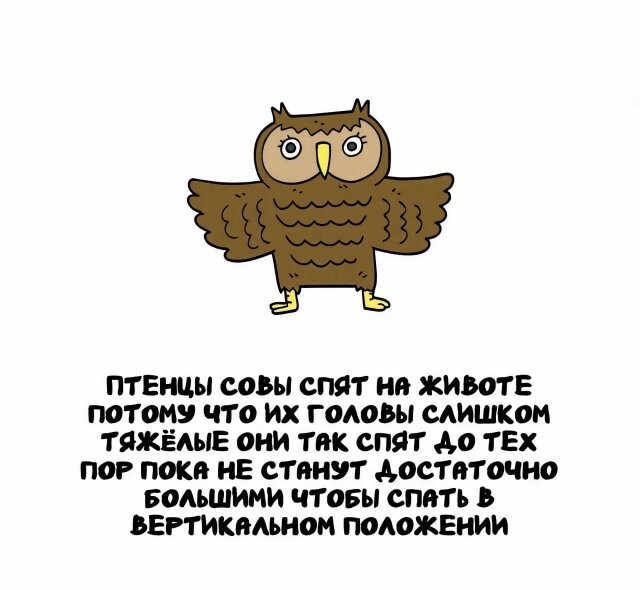 А вдруг ты не знал…