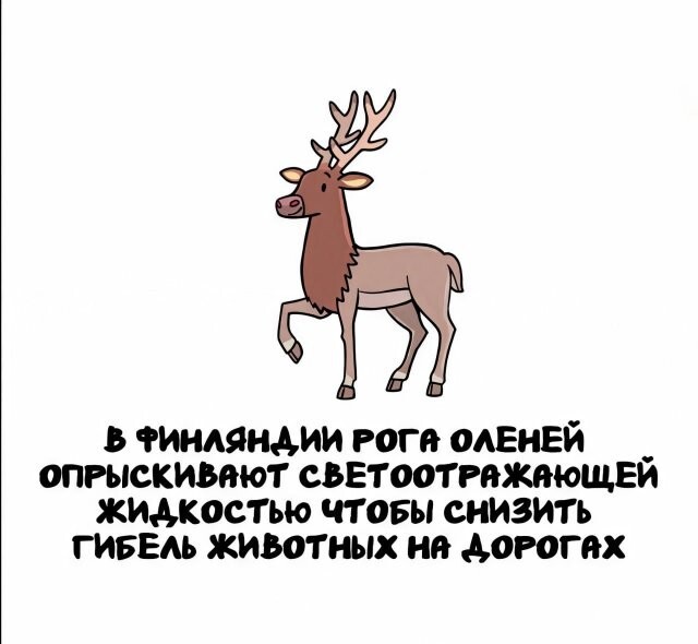 А вдруг ты не знал…