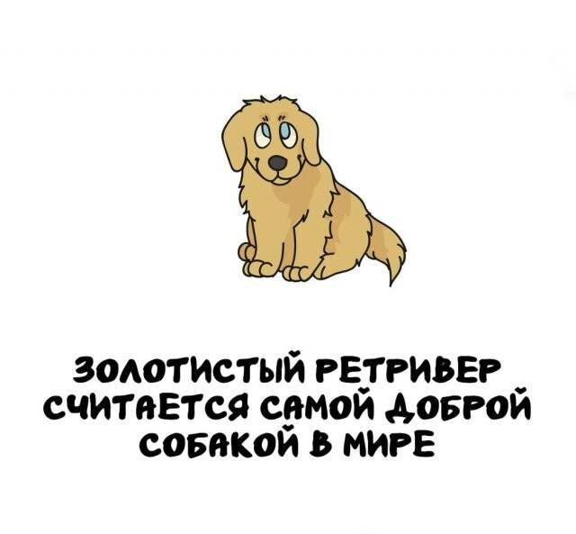 А вдруг ты не знал…