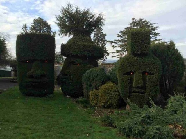 Намешалось