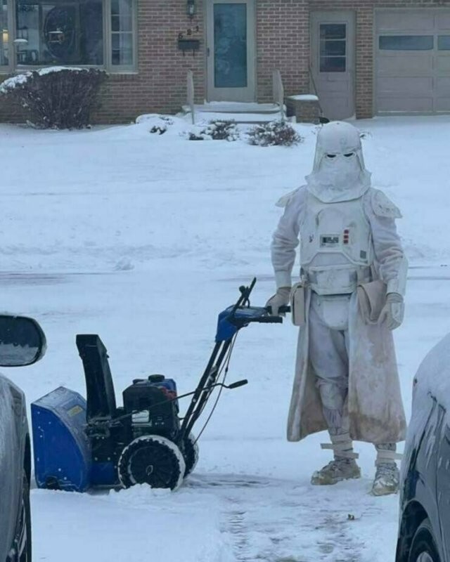Намешалось