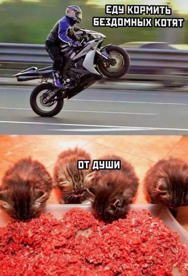 Не ищите здесь смысл. Здесь в основном маразм
