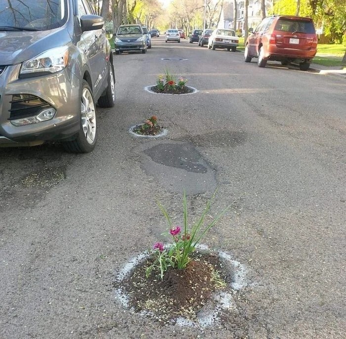 Всё вразнобой 