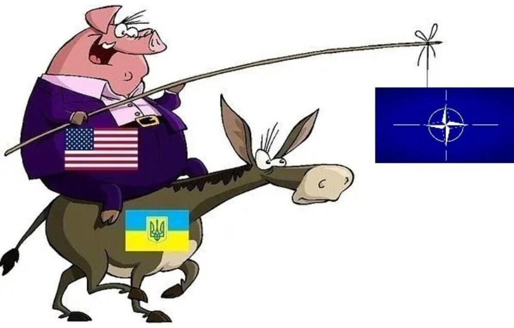 Лишь о политике с юмором и не только