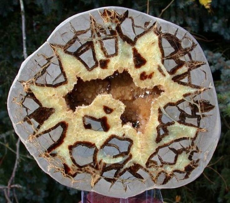 4. Септария или черепаховый камень