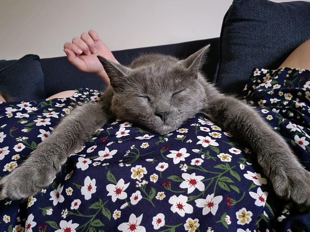 12. Лето, которое всегда со мной