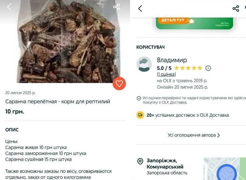 Новости нашего мира