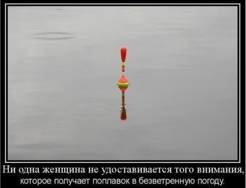 В Красноярском крае рыбаки поймали самый необычный улов в своей жизни