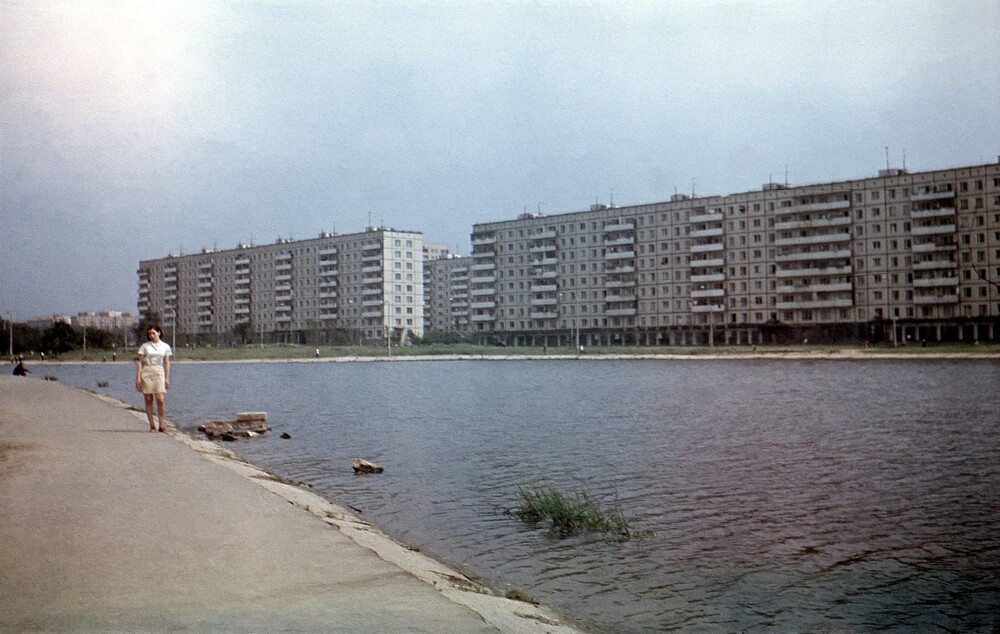 На берегу Большого Ангарского пруда в Дмитровском районе.