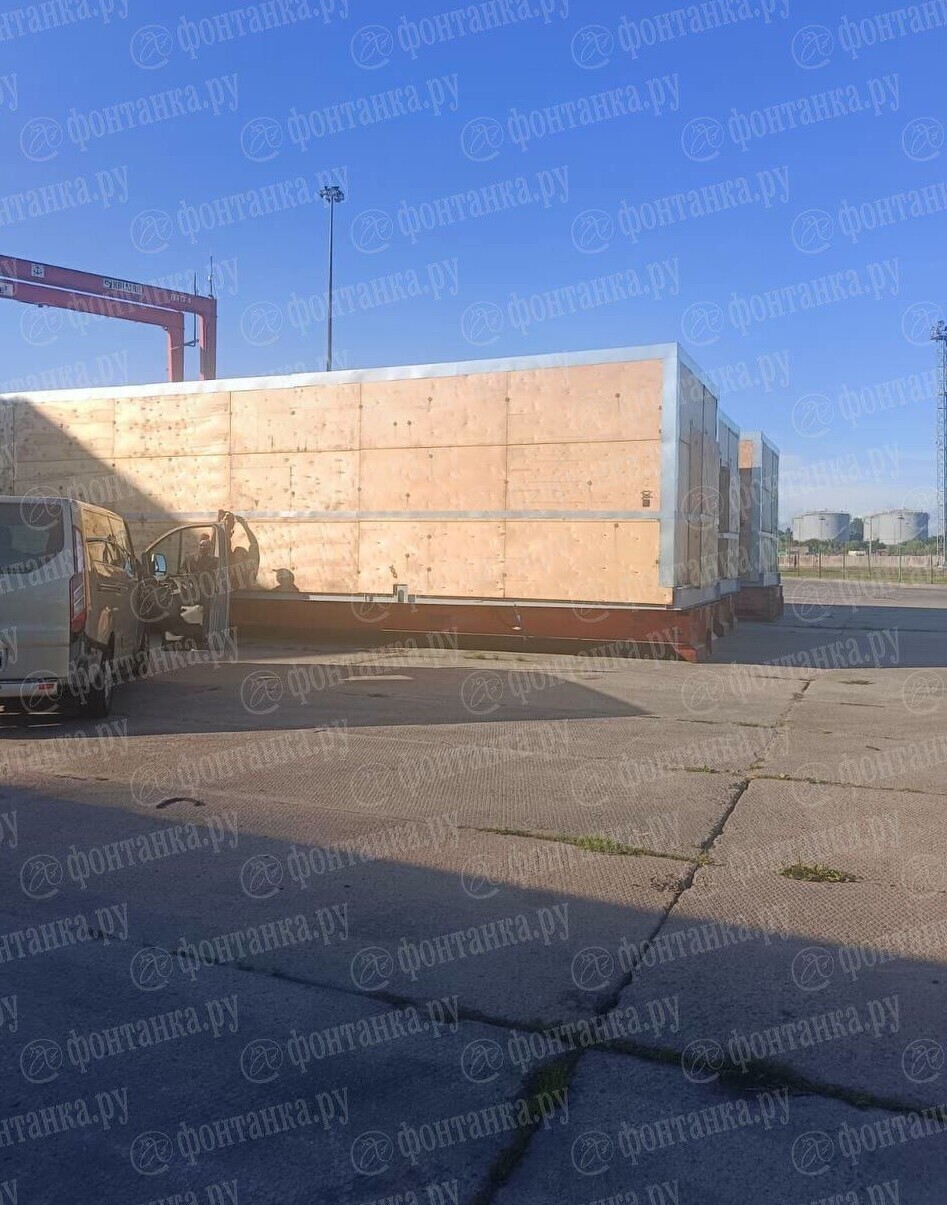 Кот просидел неделю без еды и воды в контейнере грузового судна