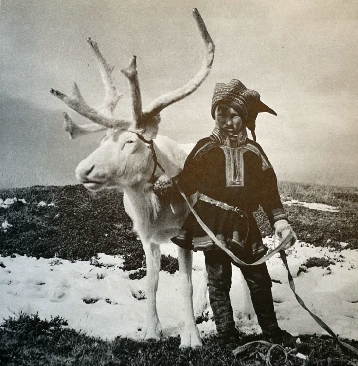 Саамы