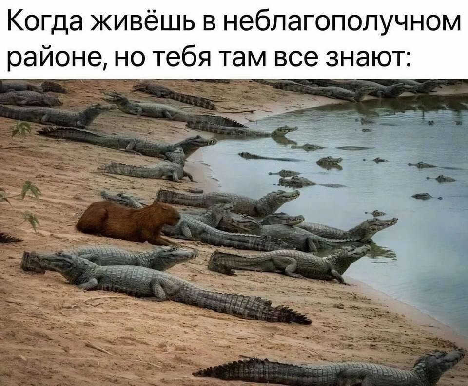 Смешные картинки