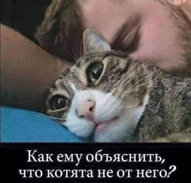 Смешные картинки