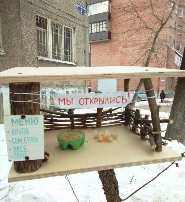 Скрины из соцсетей