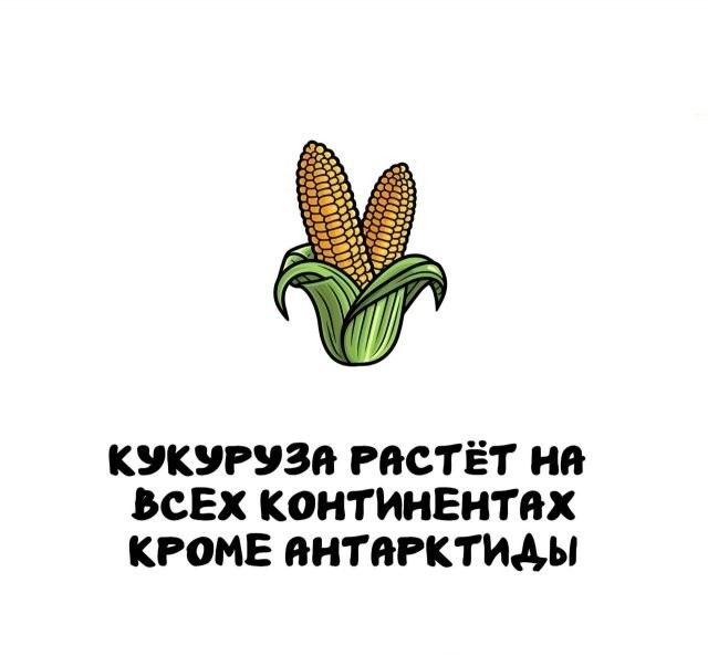 А вдруг ты не знал…