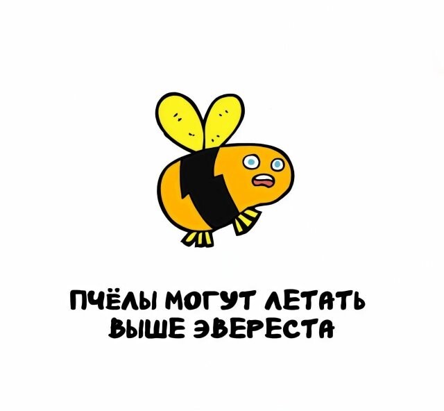 А вдруг ты не знал…
