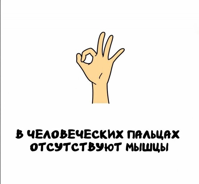 А вдруг ты не знал…