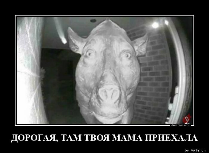 Мама приехала
