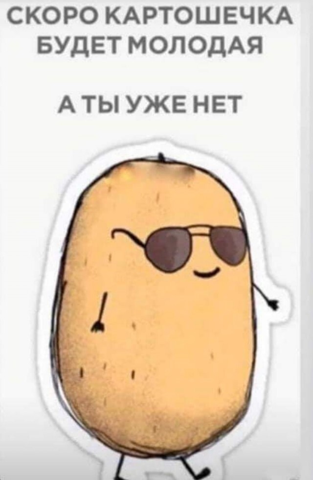 Не ищите здесь смысл. Здесь в основном маразм