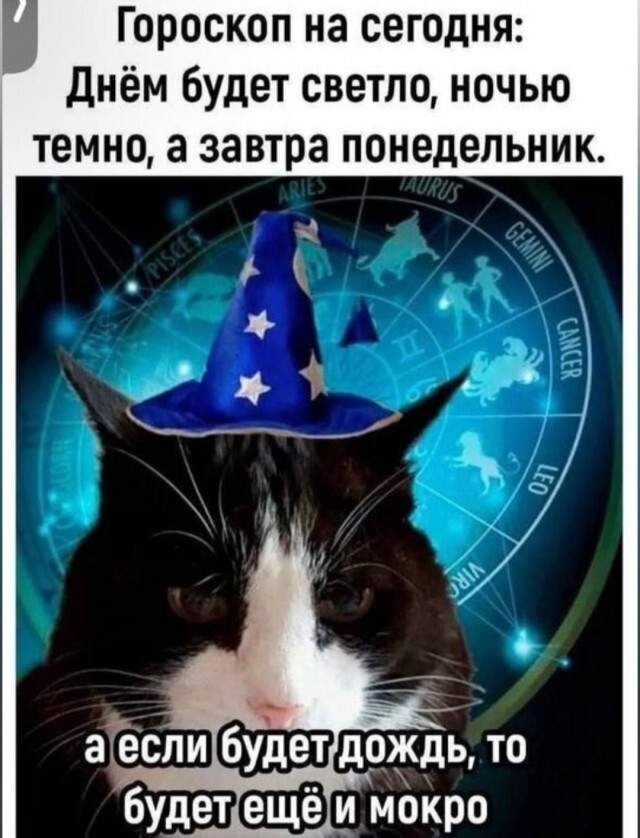 Не ищите здесь смысл. Здесь в основном маразм
